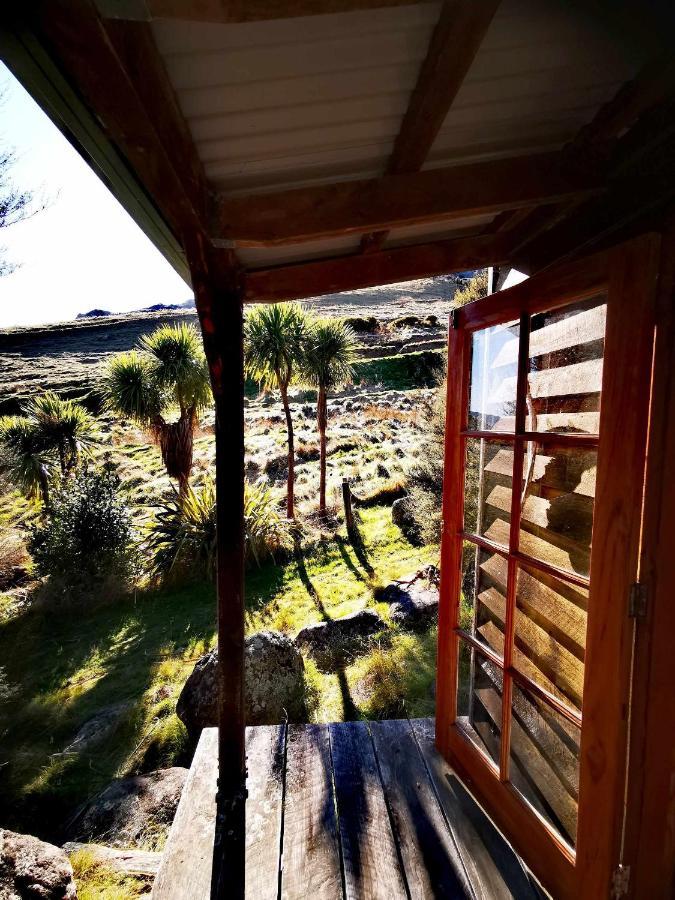 Manaaki Mai, Rustic Retreat Bush Cabin Christchurch Bagian luar foto