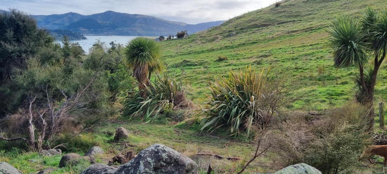 Manaaki Mai, Rustic Retreat Bush Cabin Christchurch Bagian luar foto