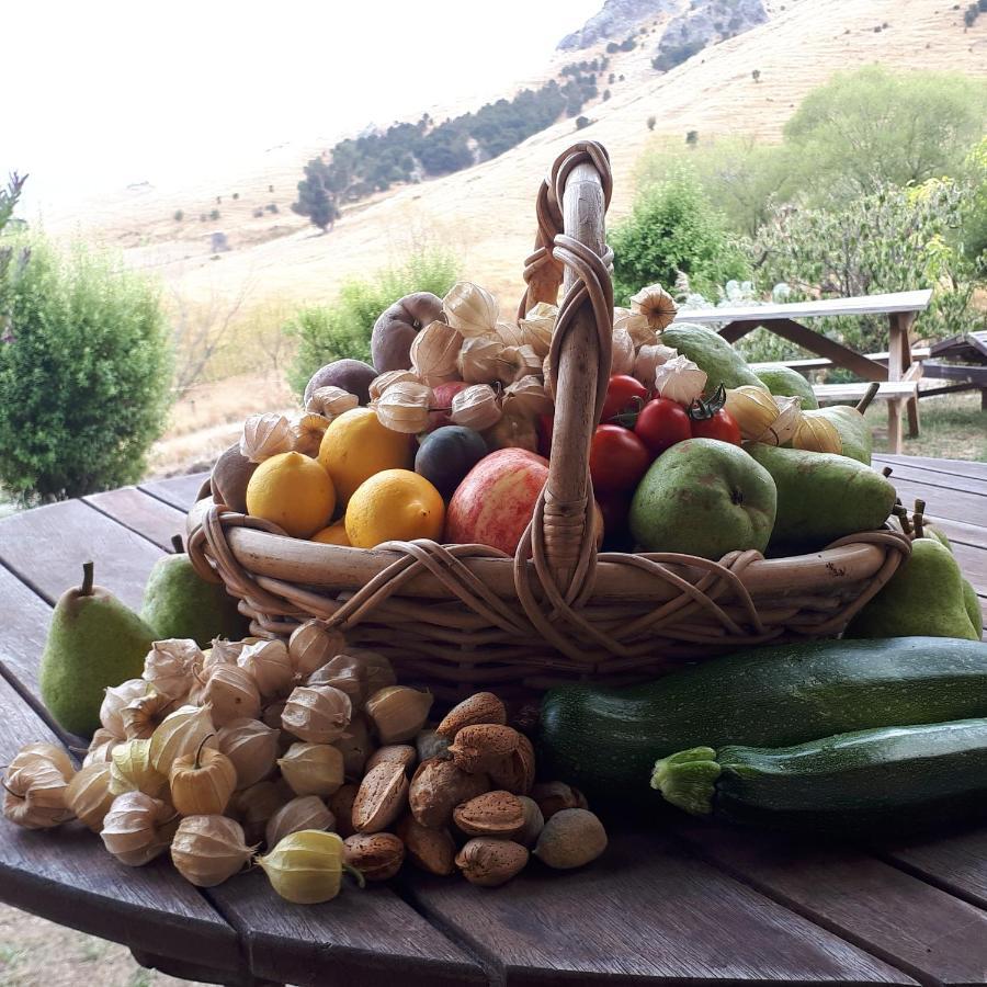 Manaaki Mai, Rustic Retreat Bush Cabin Christchurch Bagian luar foto