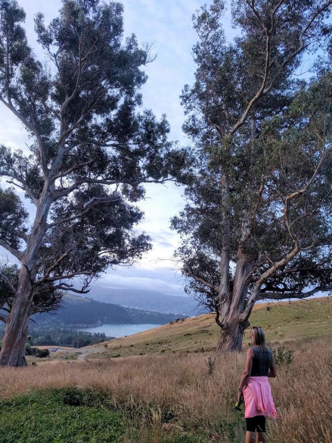 Manaaki Mai, Rustic Retreat Bush Cabin Christchurch Bagian luar foto